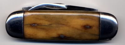 F10006.jpg