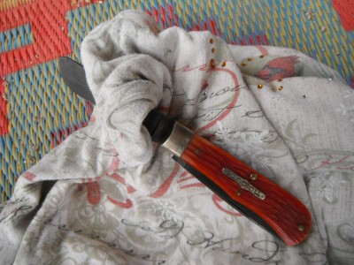 DSCF2702.JPG