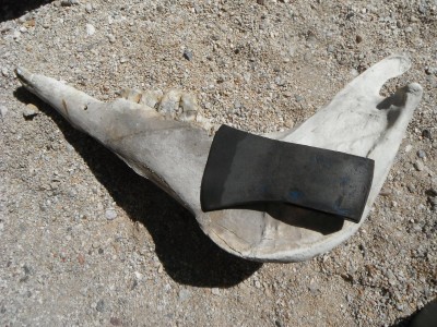 DSCF2755.JPG