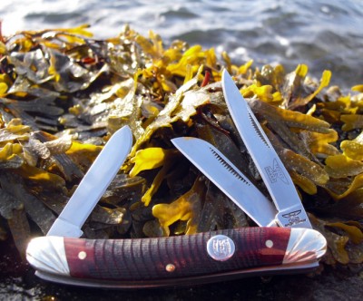 rrstockislkelp.jpg