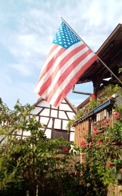 IMG_20210704_085431_340.jpg