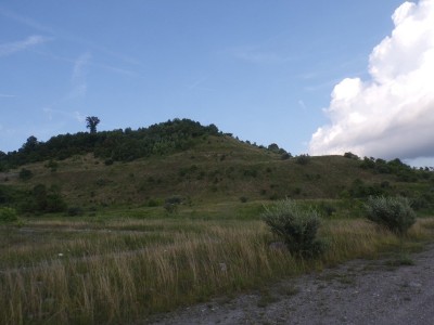 100_0694.JPG