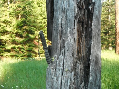 DSCF2836.JPG