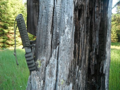 DSCF2837.JPG