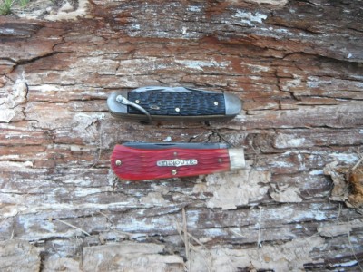 DSCF2840.JPG