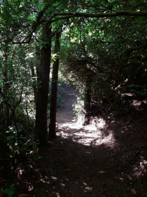 20210707_174642.jpg