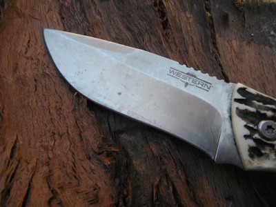 DSCF2051.JPG