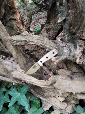 ESEE 3 On the trail.jpg