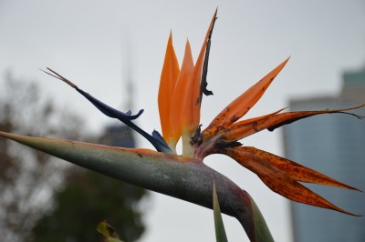 DSC_0015.JPG