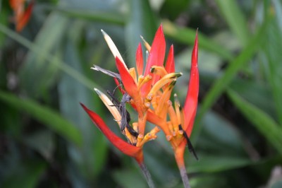 DSC_0027.JPG