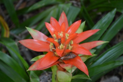 DSC_0034.JPG