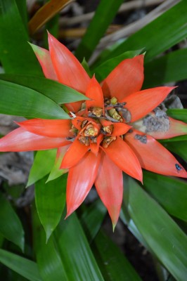 DSC_0044.JPG