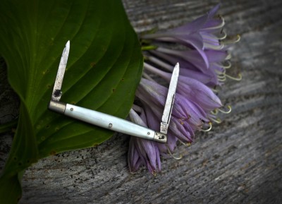 1906-tuna-pearl-bolster-lo.jpg