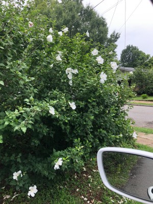 7C215D7F-D250-4F76-B3BD-D7E0CBE2FD0B.jpeg
