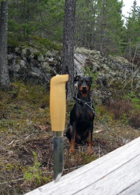 puukdog.jpg