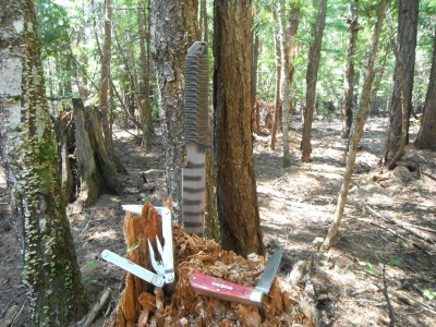 DSCF2846.JPG