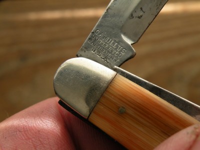 DSCN9795.JPG