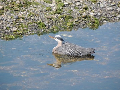 DSCN7016.JPG