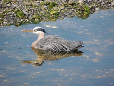DSCN7017.JPG