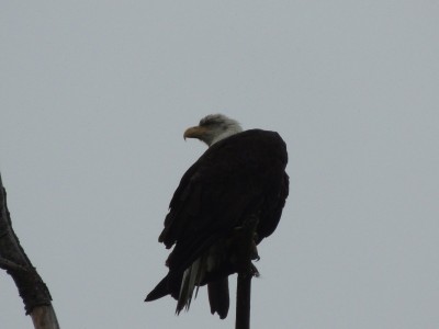 DSCN7058.JPG