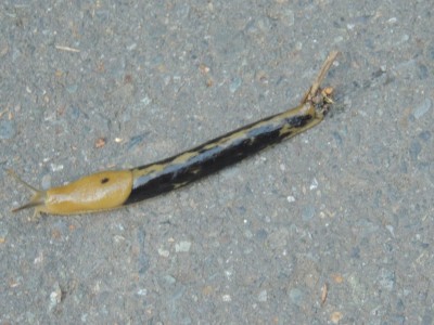 DSCN7034.JPG
