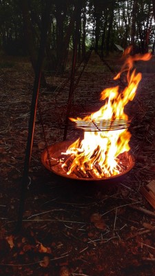 20210723_182630-01.jpeg