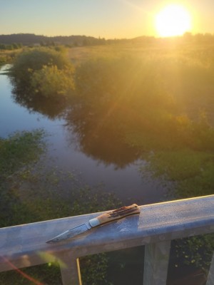 Resized_20210721_202154.jpeg