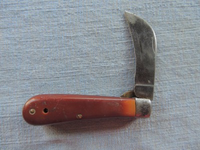 DSCN7234.JPG