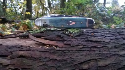 WP_20181122_006.jpg