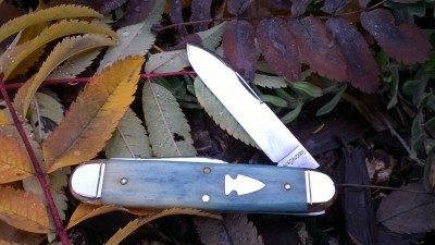 WP_20181117_018.jpg