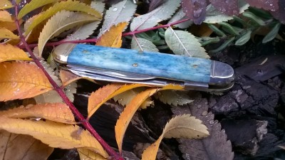 WP_20181117_009.jpg
