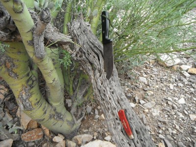 DSCF3855.JPG