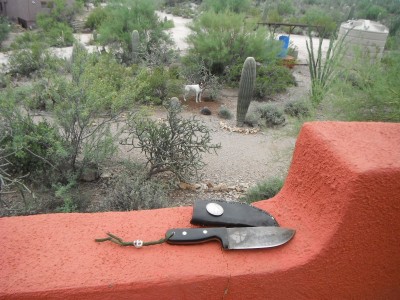 DSCF3841.JPG