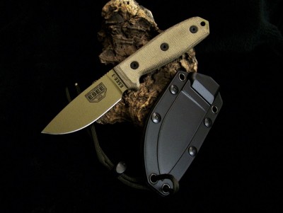 ESEE 3 .jpg