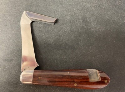 image1.jpeg