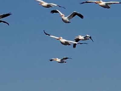 20210402_104508.jpg