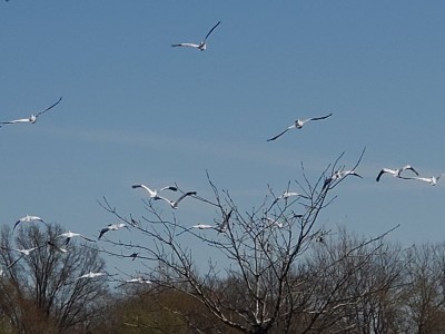 20210402_104517.jpg