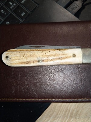 IMAG0596.jpg