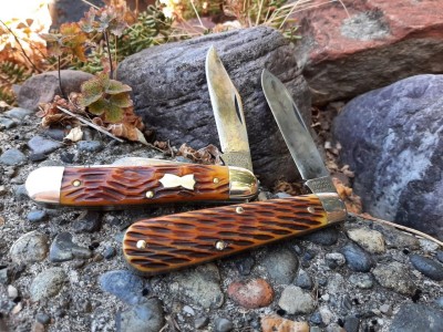 thumbnail_20210810_120741.jpg