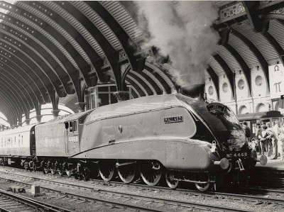 mallard-at-york-station-bw.jpg