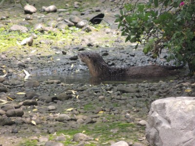 DSCN7128.JPG