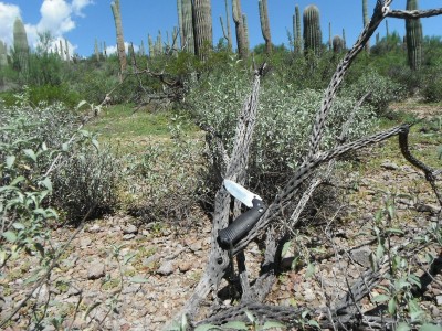 DSCF4360.JPG