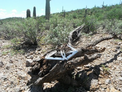 DSCF4364.JPG