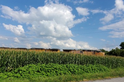 20210816_162811.jpg