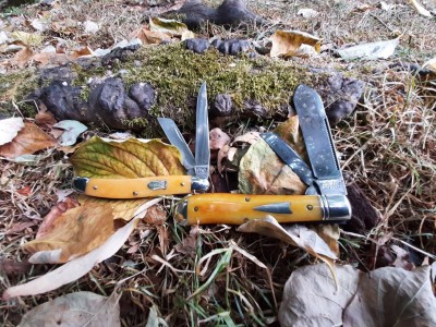 thumbnail_20210817_120758.jpg