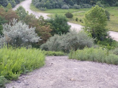 100_0731.JPG