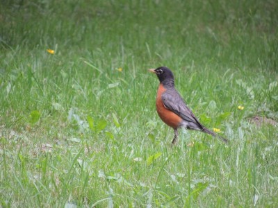 DSCN7085.JPG