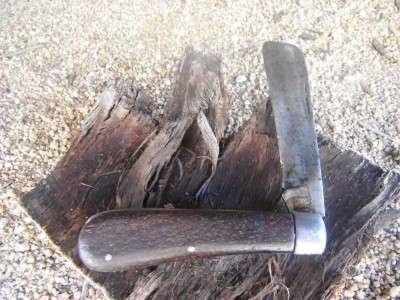DSCF4797.JPG