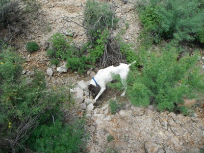 DSCF4429.JPG