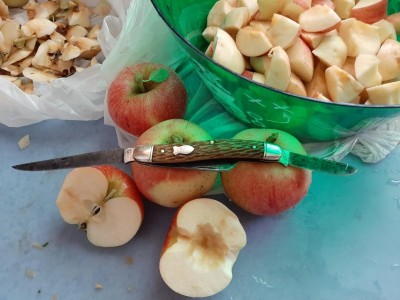 thumbnail_20210824_153108.jpg
